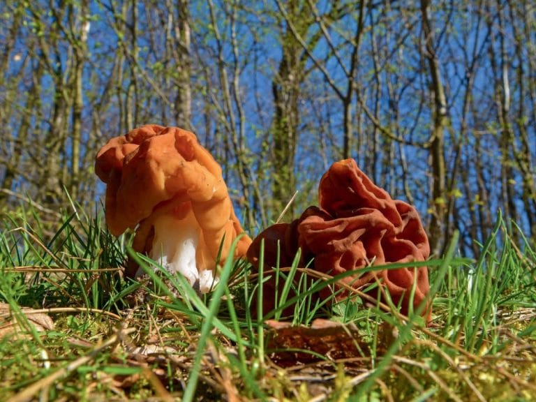 Should You Be Worried