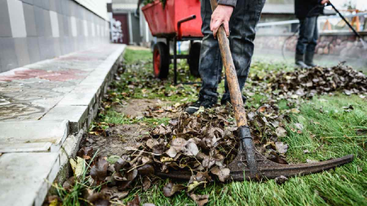 End-of-summer cleanup and the simple way to prep your garden for winter