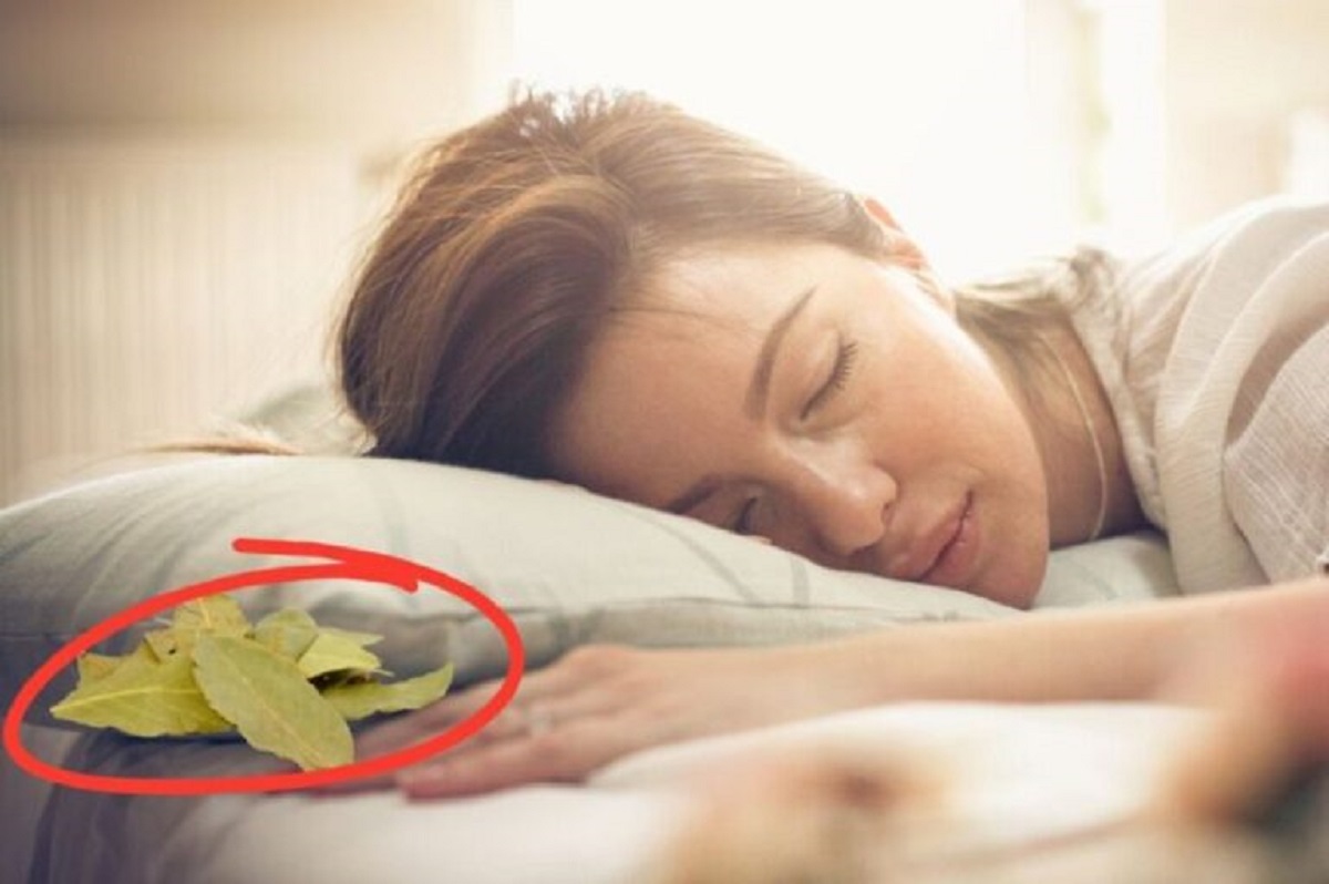 Why is everyone suddenly putting bay leaves under their pillow ?